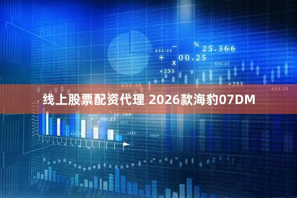 线上股票配资代理 2026款海豹07DM