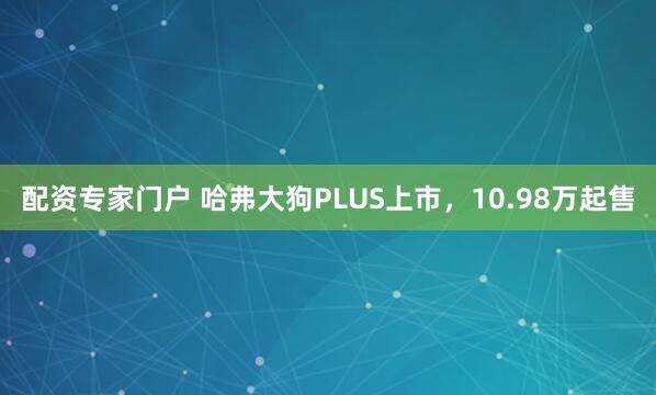 配资专家门户 哈弗大狗PLUS上市，10.98万起售